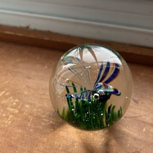 Dragonfly glass paperweight